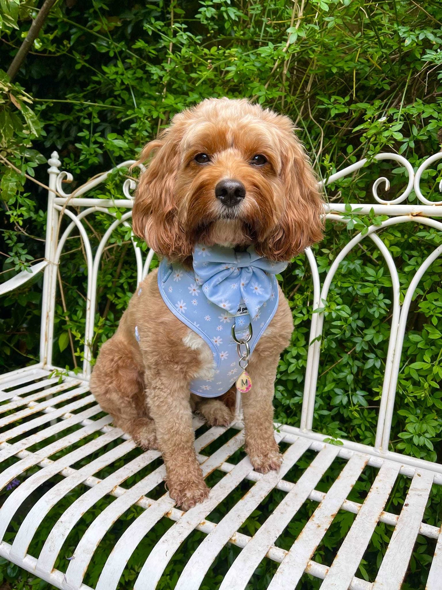 Daisy Dreams Adjustable Harness