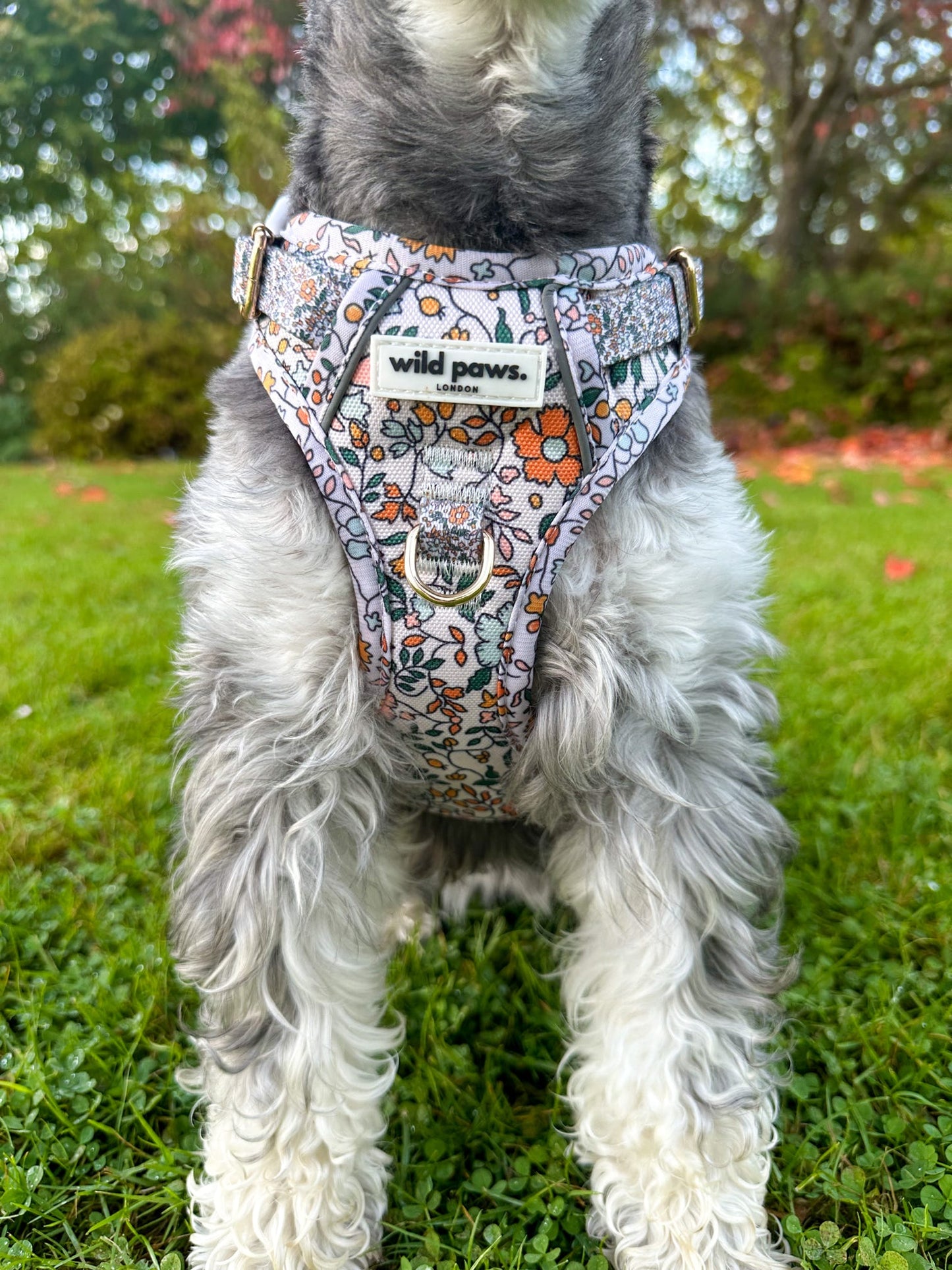 Rustic Meadow Wild Edition Harness