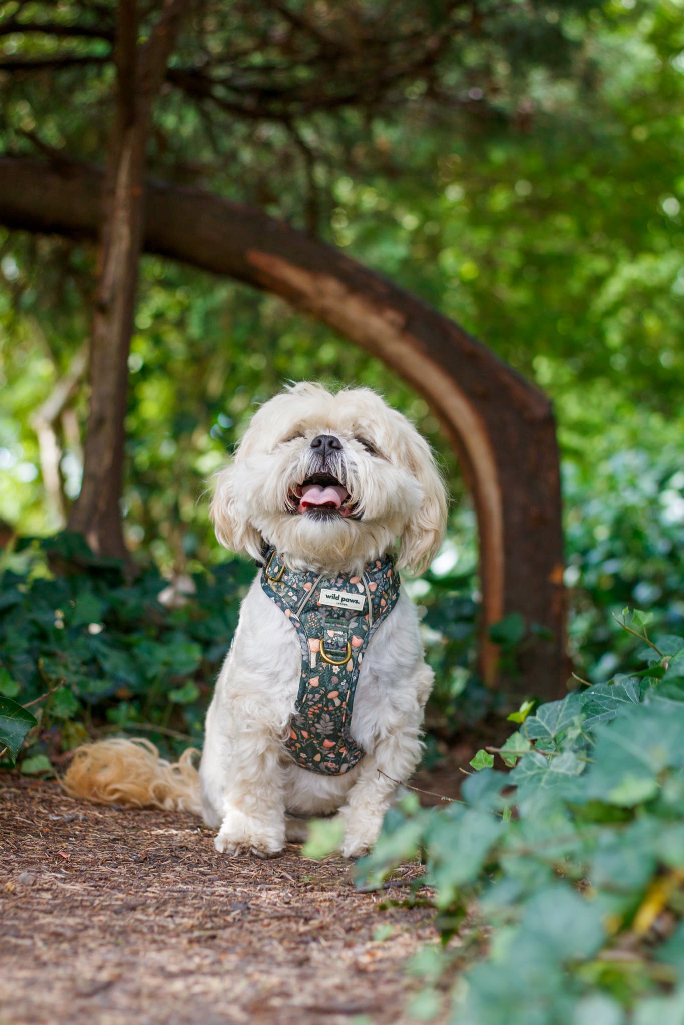 Fairytale Forest Wild Edition Harness
