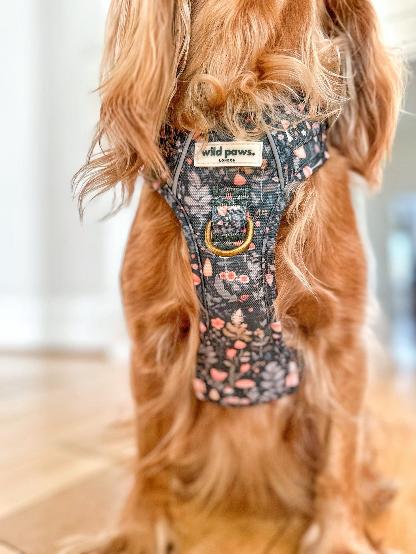Fairytale Forest Wild Edition Harness