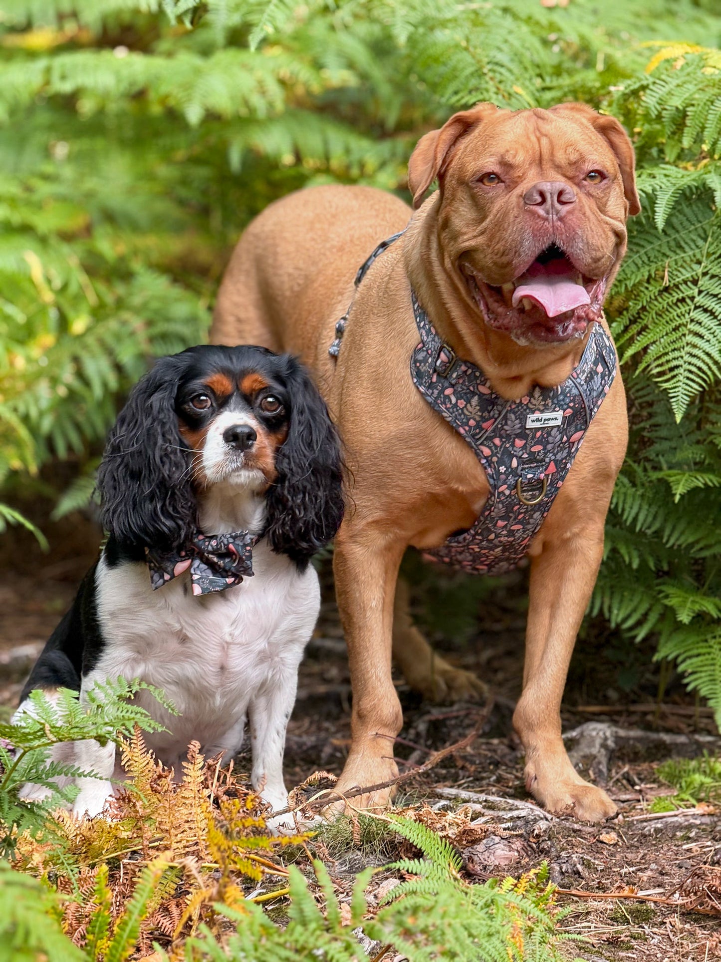 Fairytale Forest Wild Edition Harness