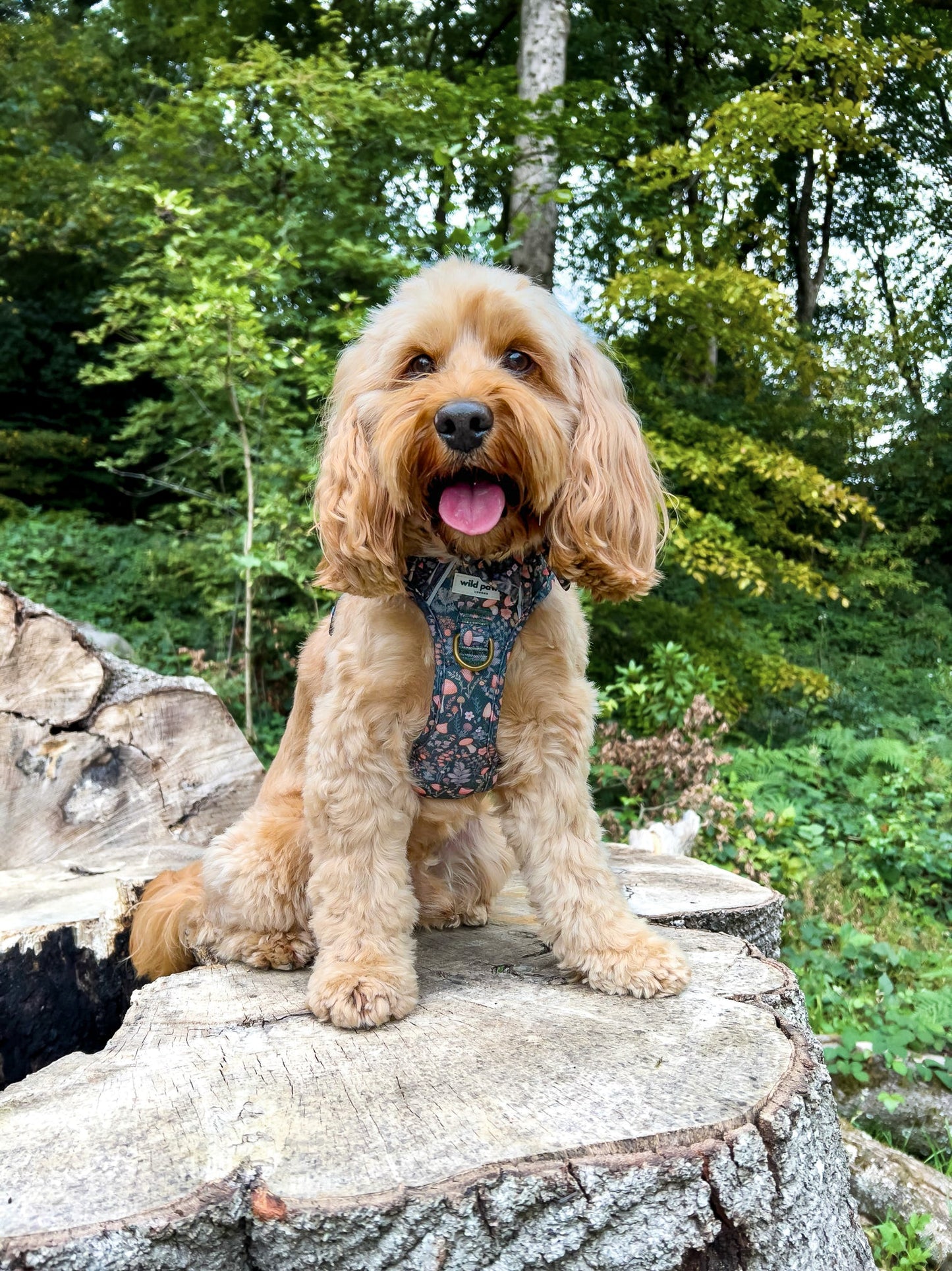 Fairytale Forest Wild Edition Harness