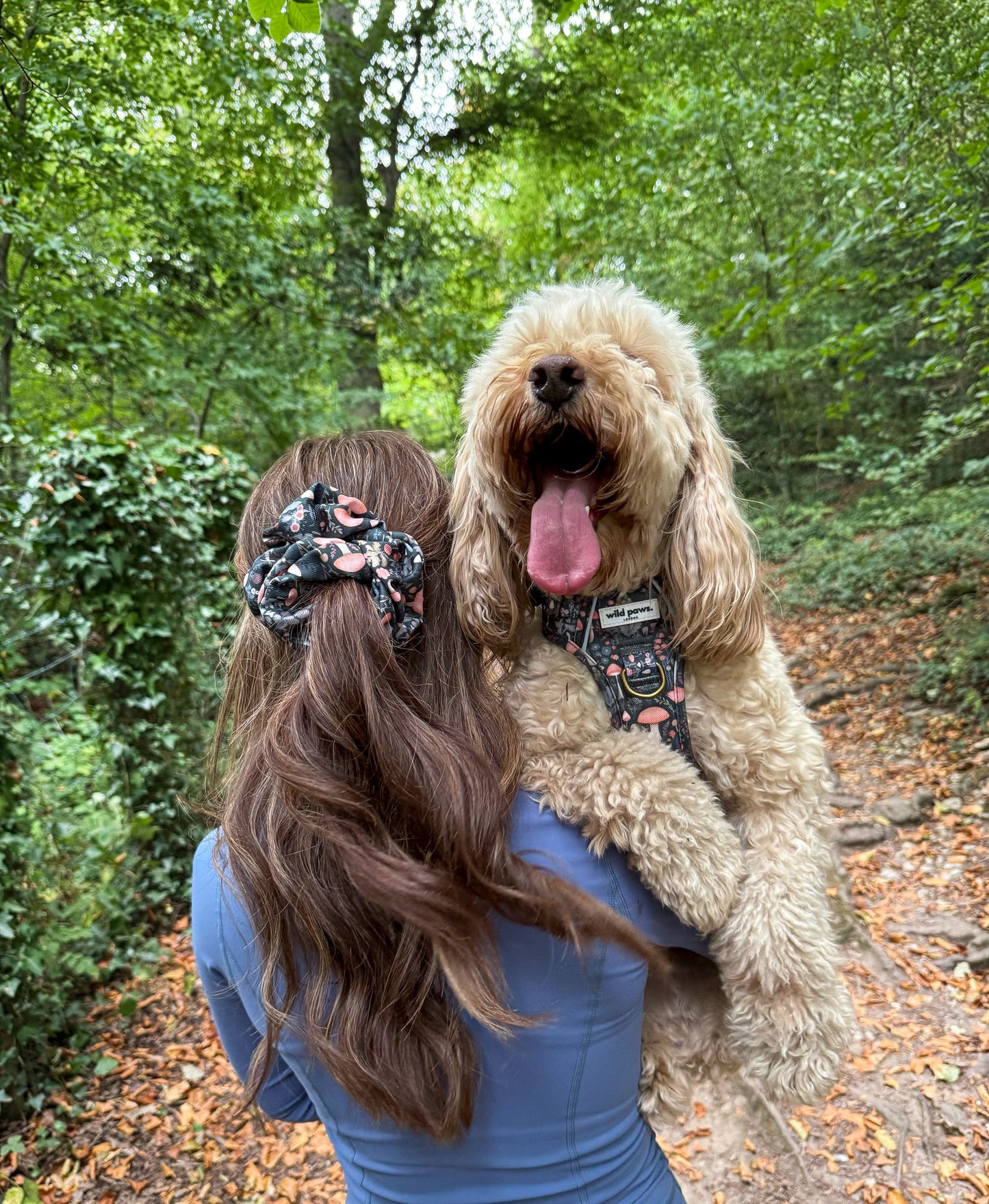 Fairytale Forest Wild Edition Harness