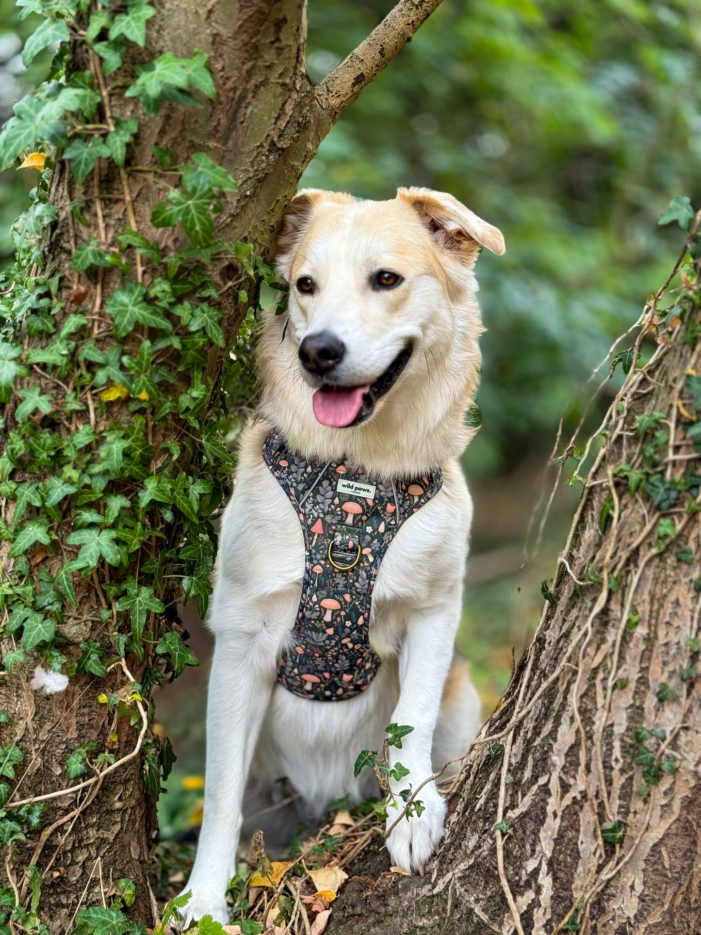 Fairytale Forest Wild Edition Harness