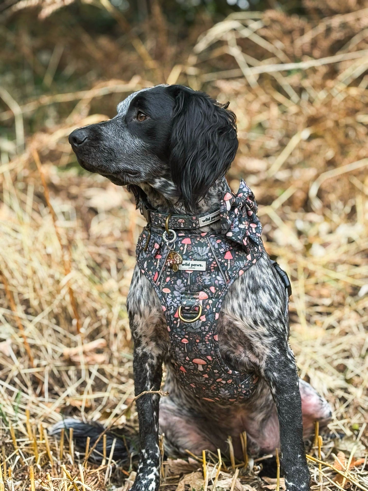 Fairytale Forest Wild Edition Harness