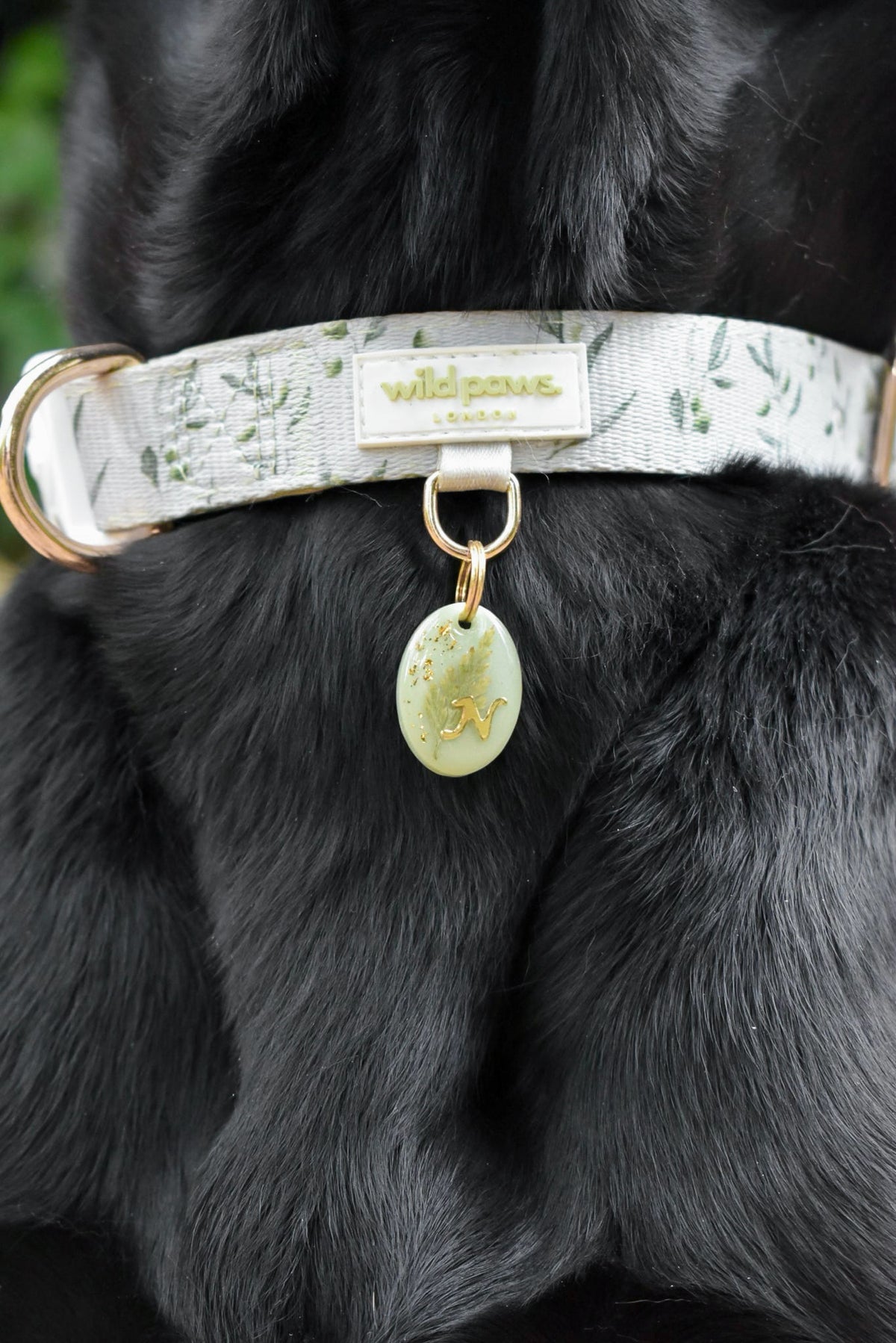 Olive Orchard Adjustable Collar