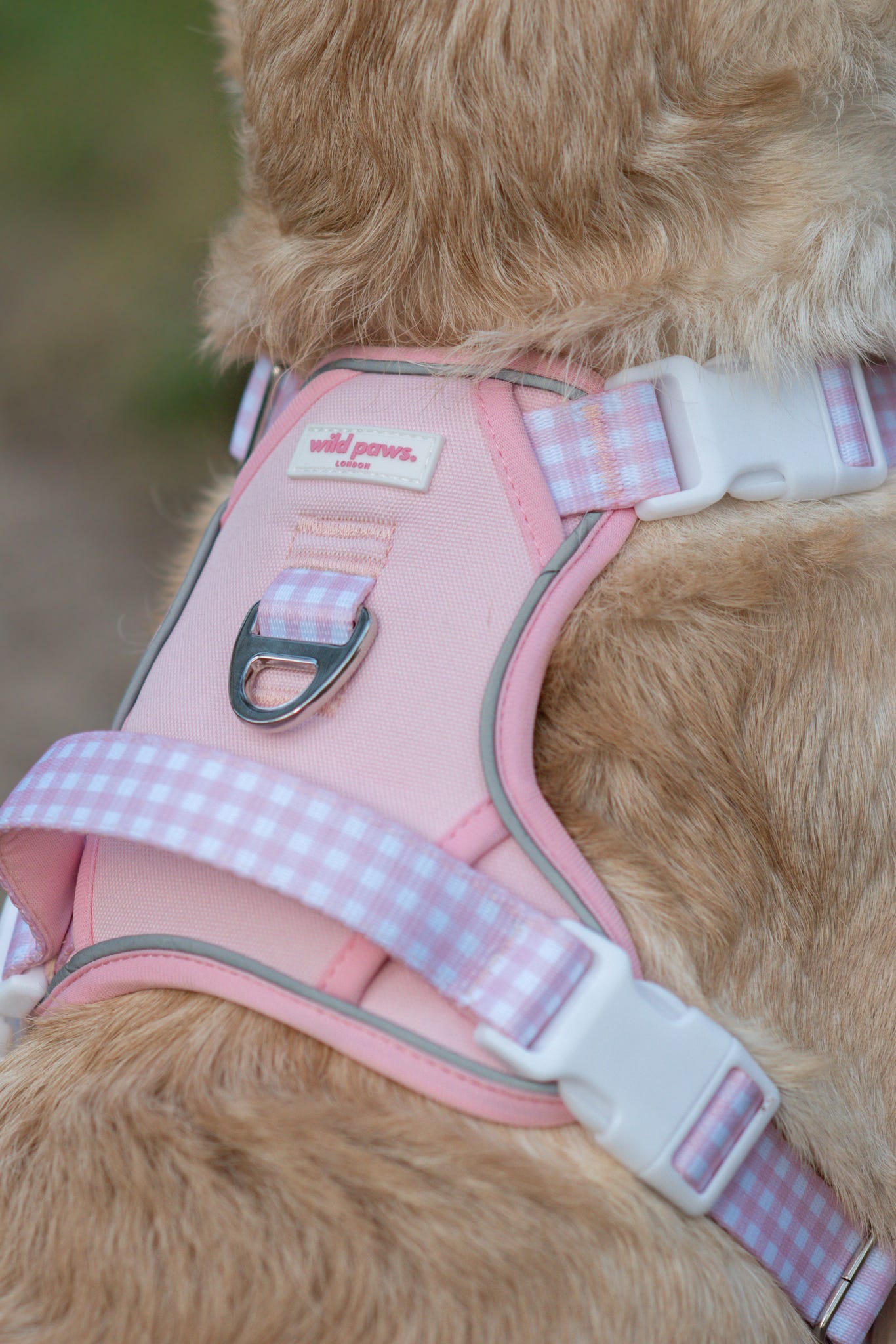 Strawberry Shortcake Wild Edition Harness