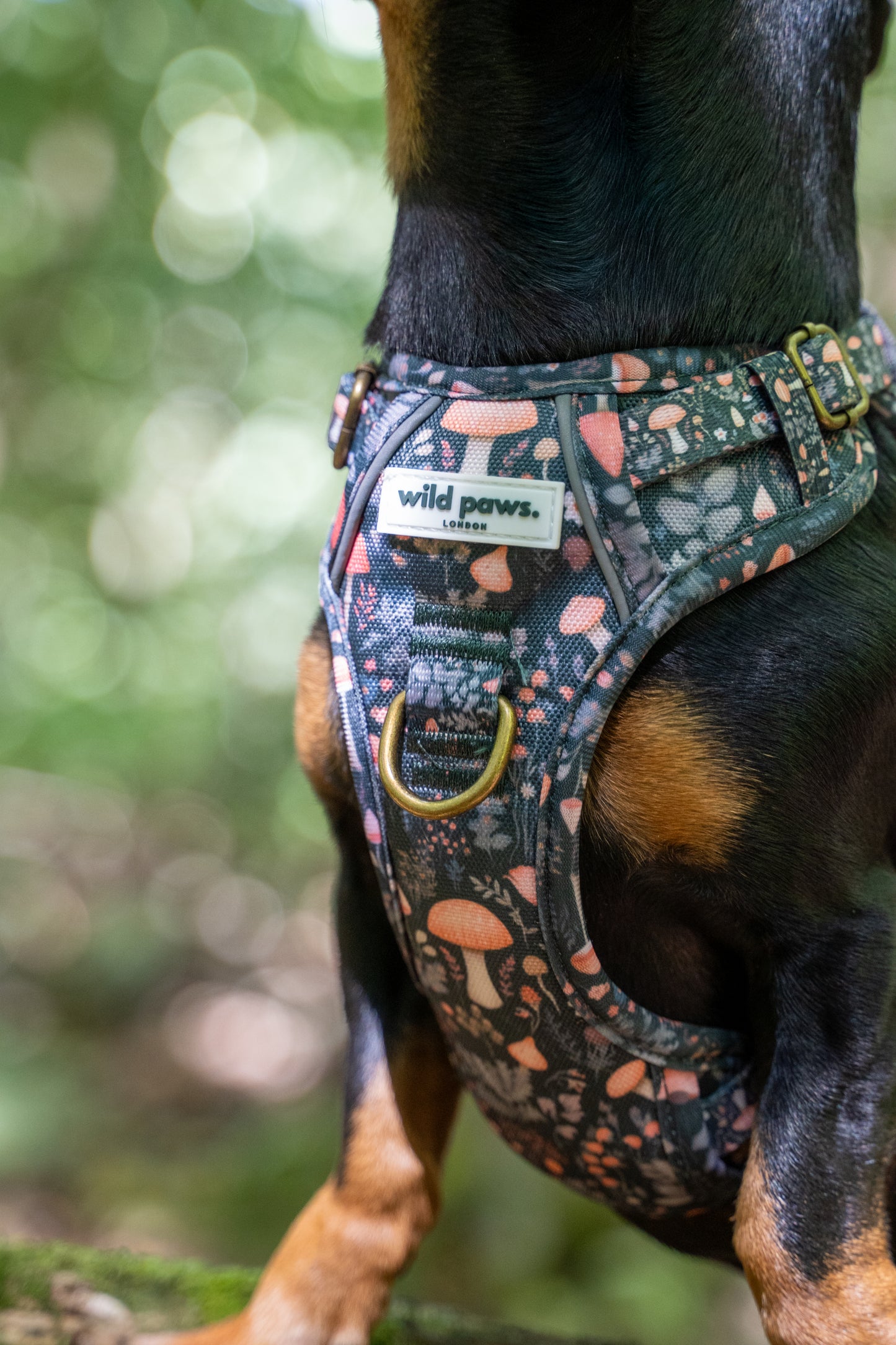 Fairytale Forest Wild Edition Harness