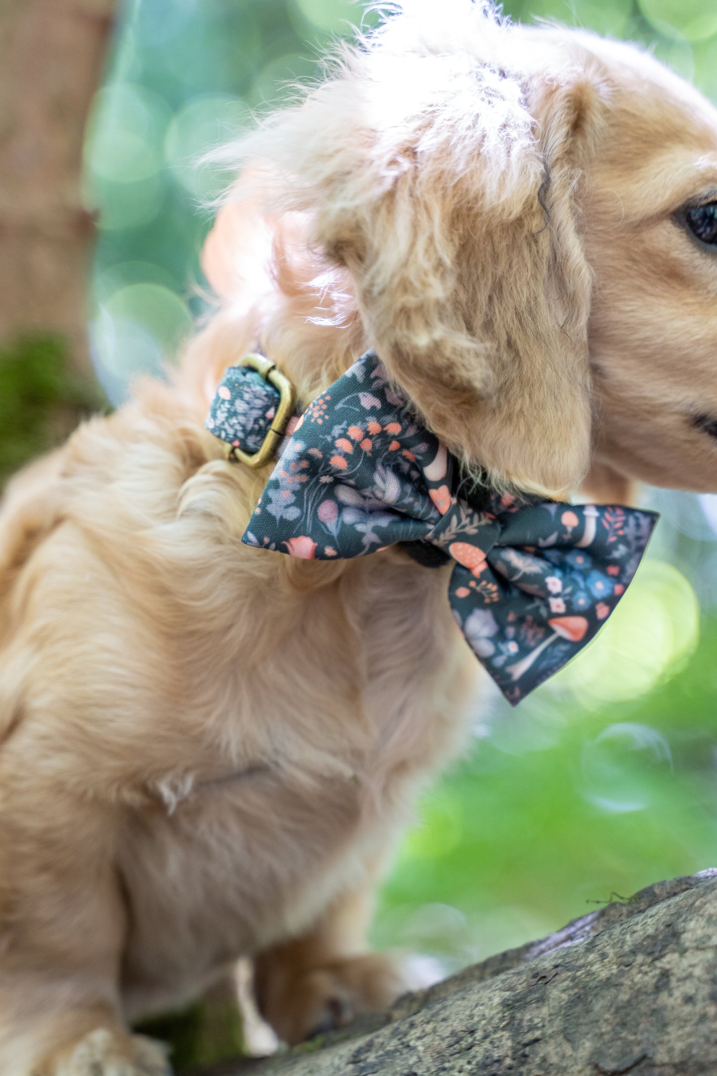Fairytale Forest Bow Tie