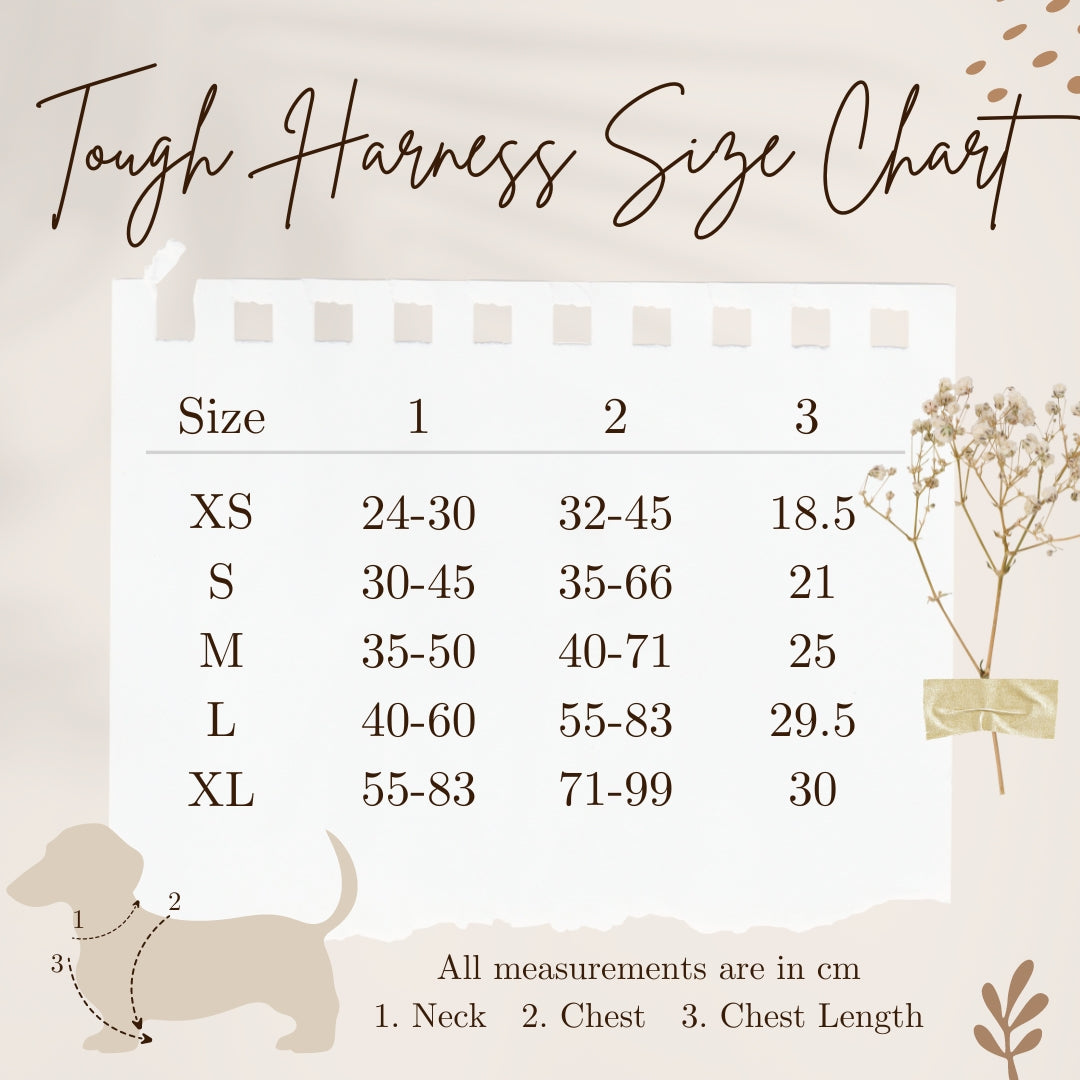 Rustic Meadow Wild Edition Harness