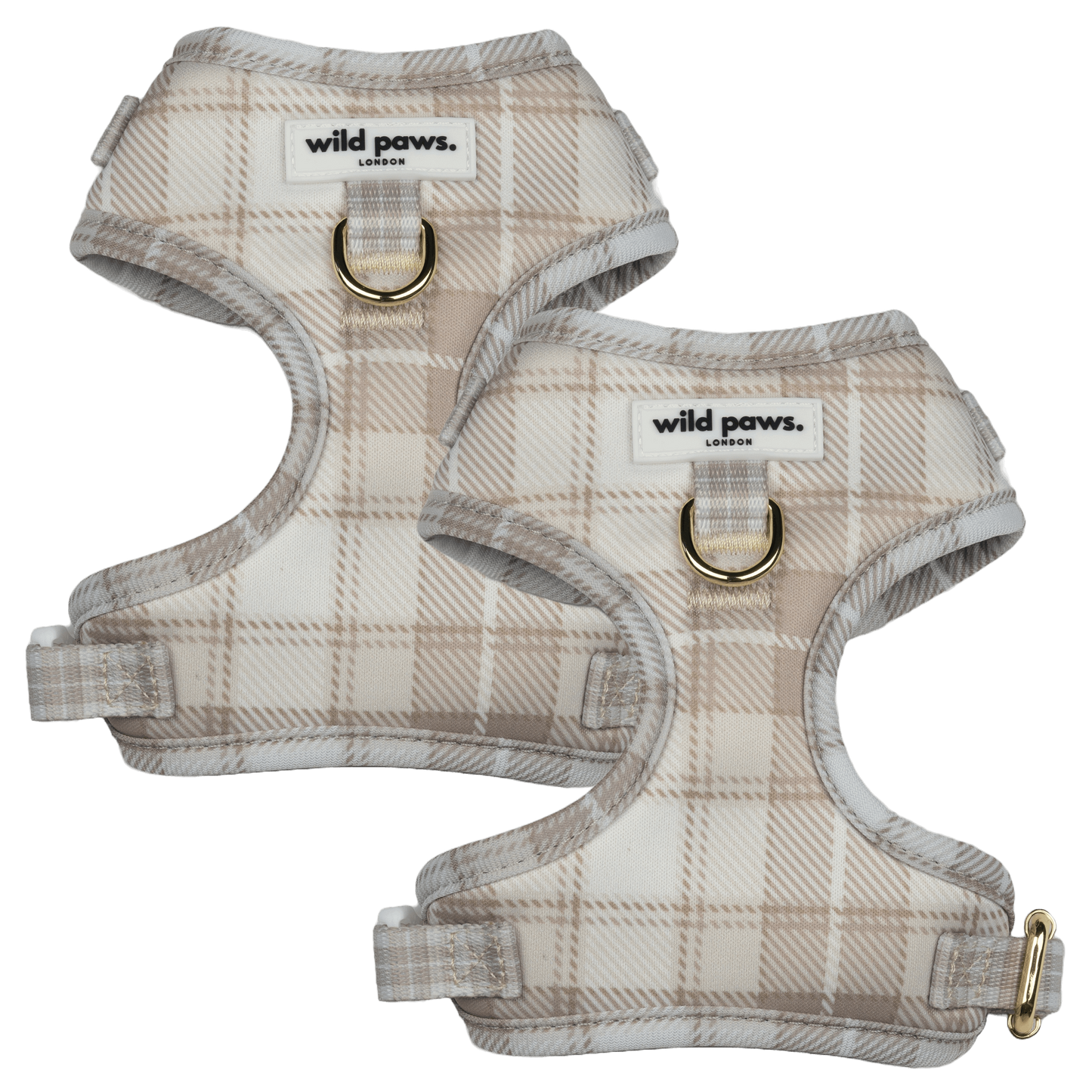 WildDuo Teddy Bear Picnic