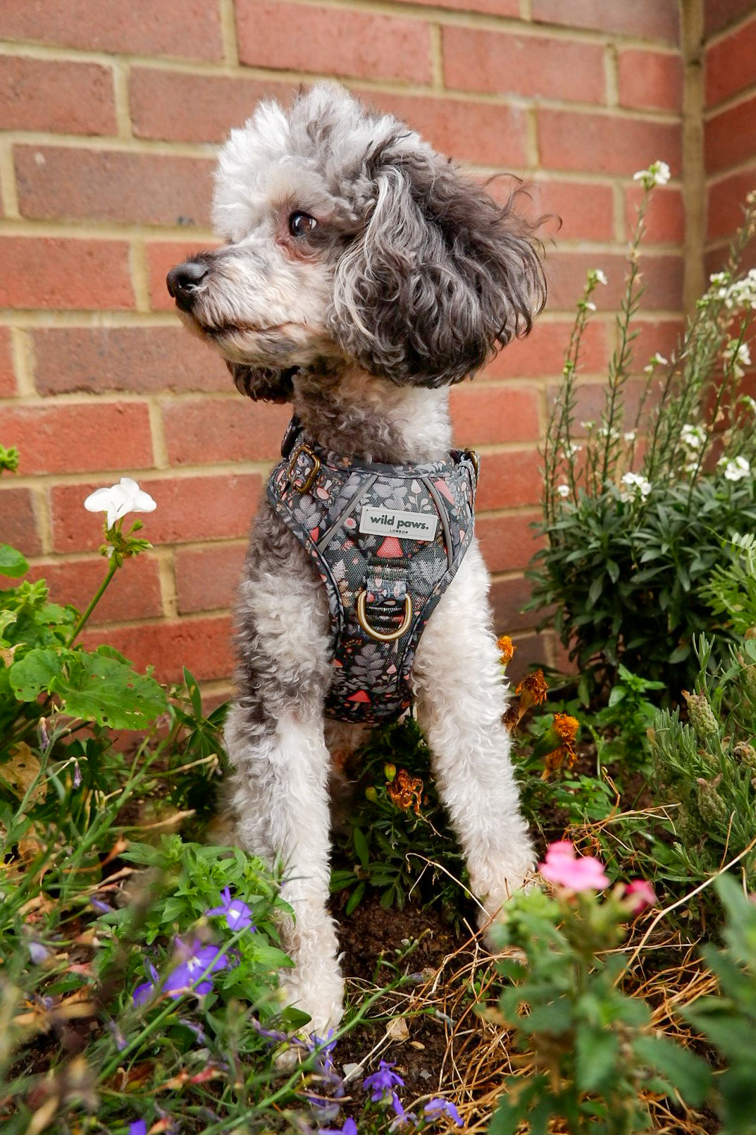 Fairytale Forest Wild Edition Harness