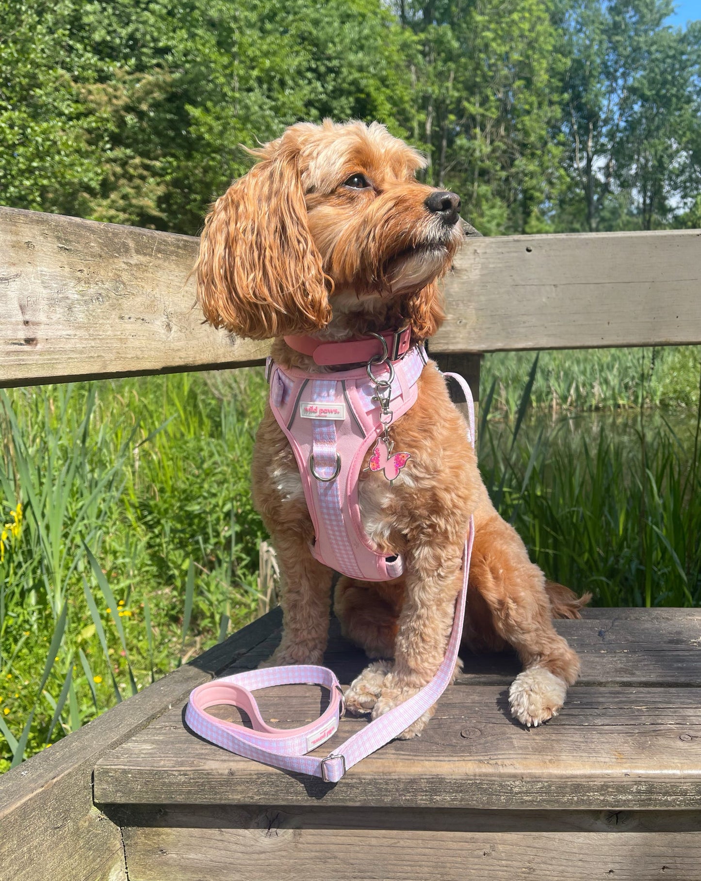 Strawberry Shortcake Wild Edition Harness