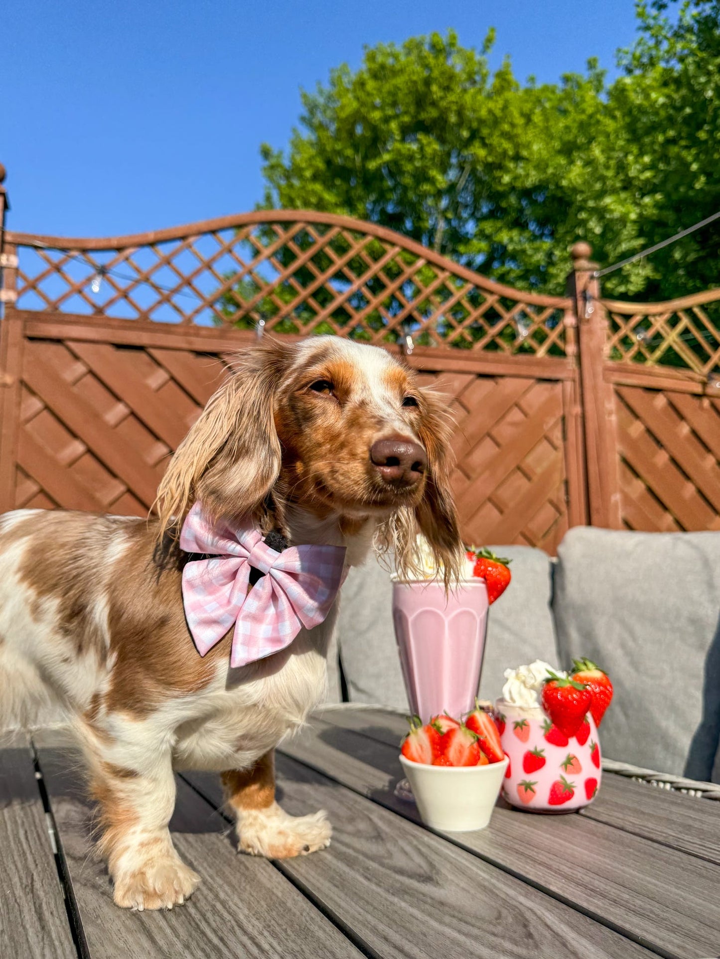 Strawberry Shortcake Sailor Bow