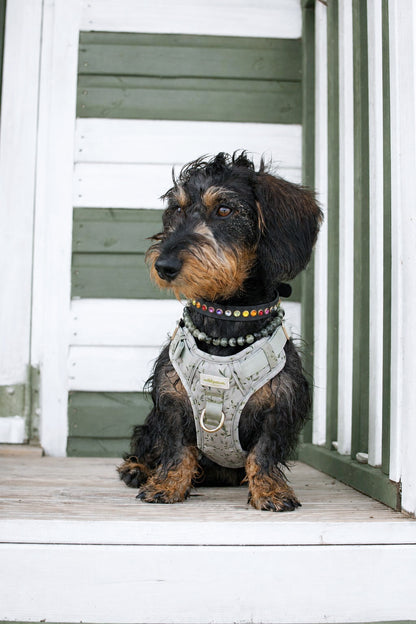 Olive Orchard Wild Edition Harness