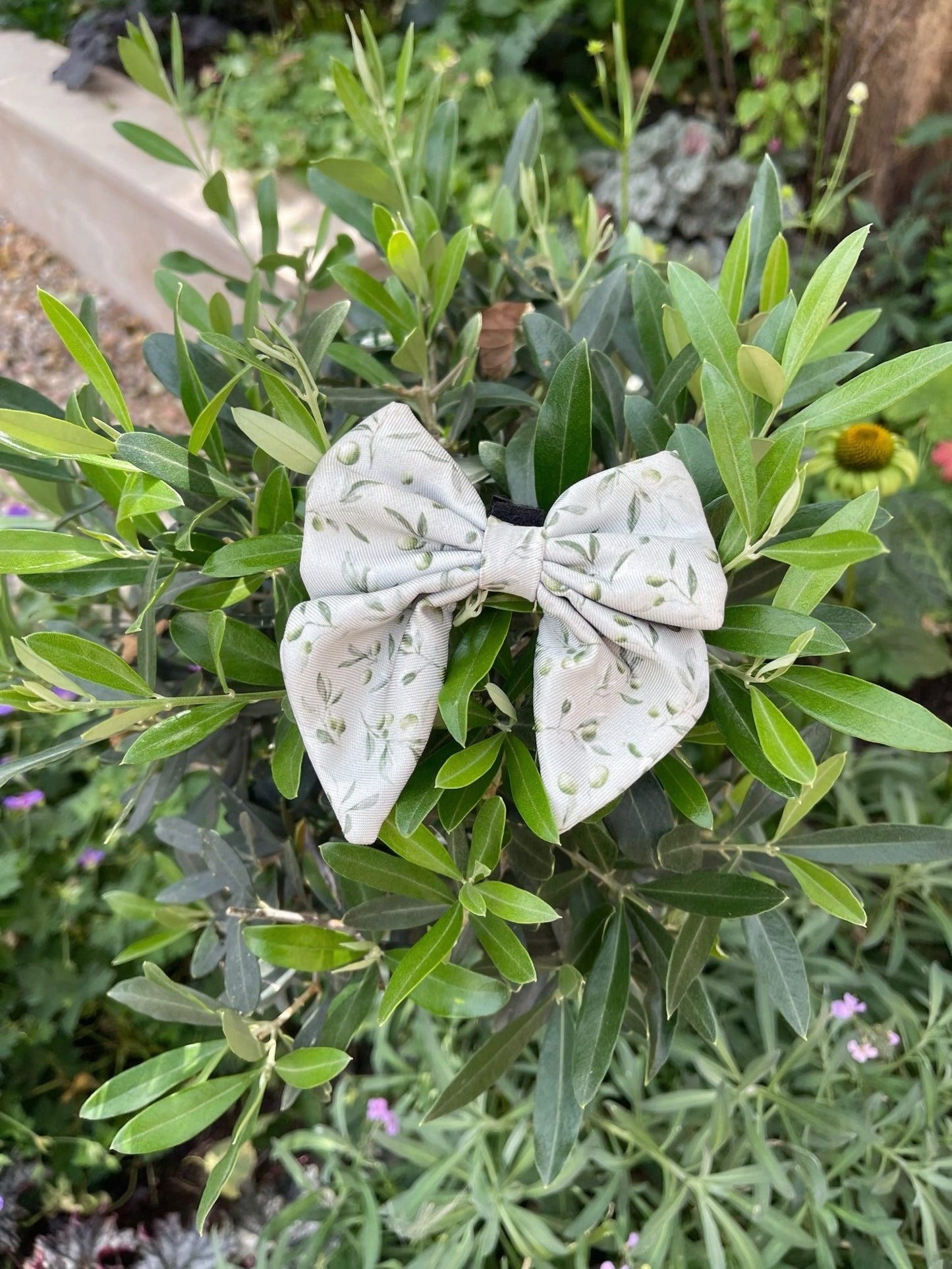 Olive Orchard Sailor Bow