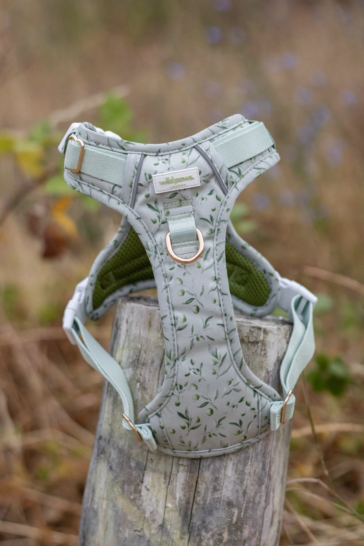 Olive Orchard Wild Edition Harness