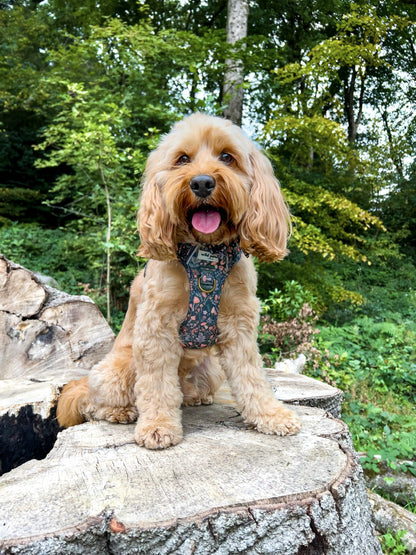 Fairytale Forest Wild Edition Harness