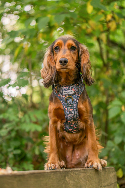 Fairytale Forest Wild Edition Harness