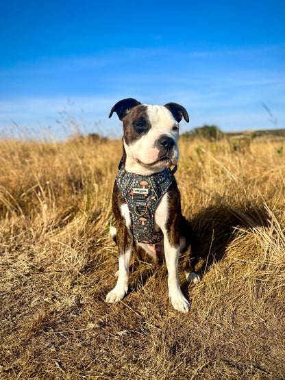 Fairytale Forest Wild Edition Harness