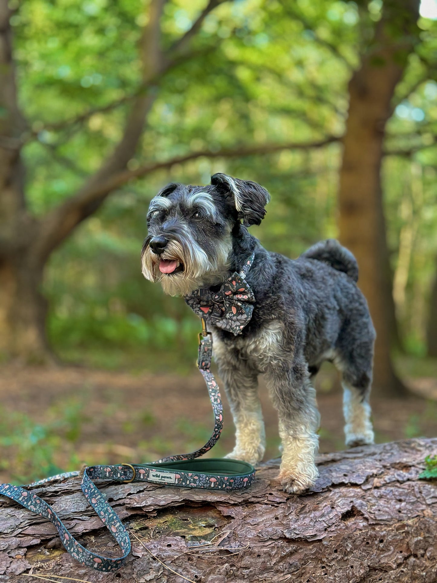 Fairytale Forest Adjustable Collar