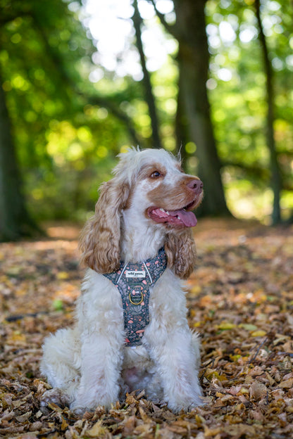 Fairytale Forest Wild Edition Harness