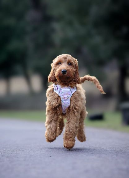 Vintage Violets Wild Edition Harness
