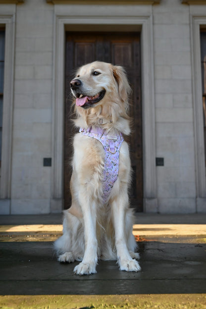 Vintage Violets Wild Edition Harness