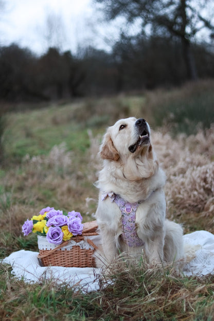 Vintage Violets Wild Edition Harness