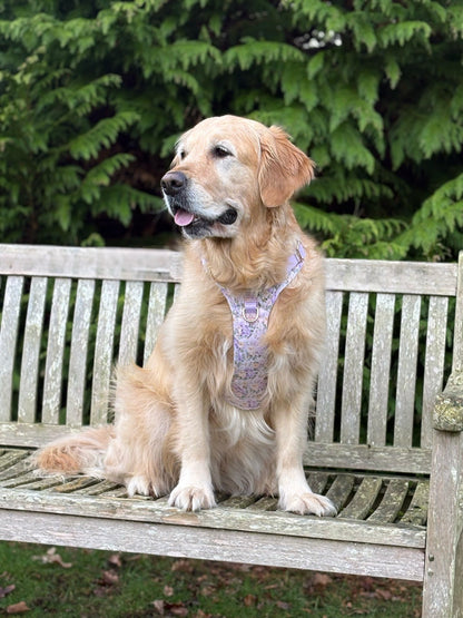 Vintage Violets Wild Edition Harness