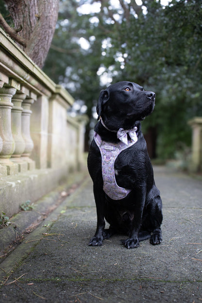 Vintage Violets Wild Edition Harness