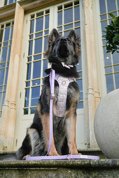 Vintage Violets Wild Edition Harness