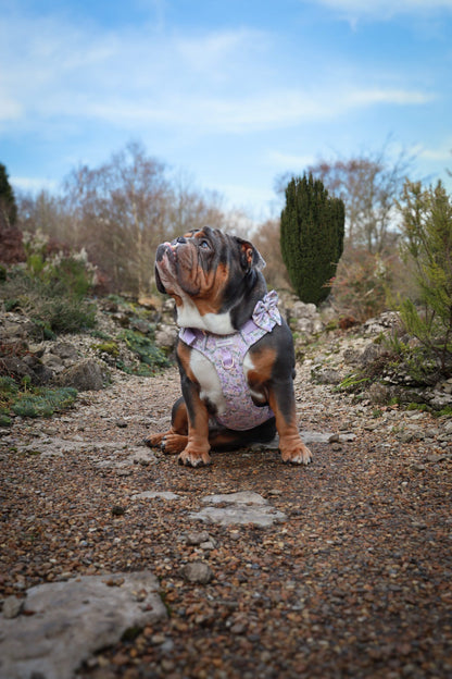 Vintage Violets Wild Edition Harness