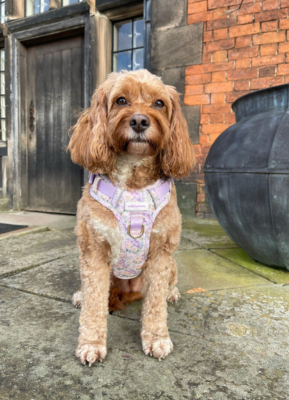 Vintage Violets Wild Edition Harness