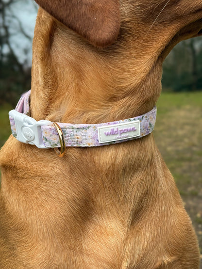 Vintage Violets Adjustable Collar