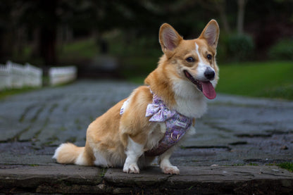 Vintage Violets Wild Edition Harness
