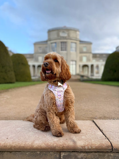 Vintage Violets Wild Edition Harness