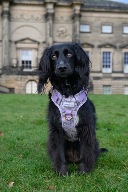 Vintage Violets Wild Edition Harness