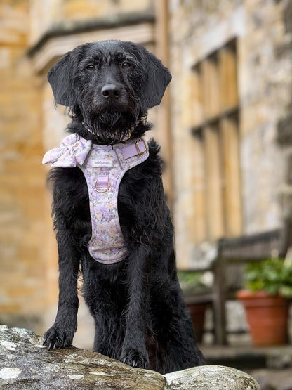 Vintage Violets Wild Edition Harness