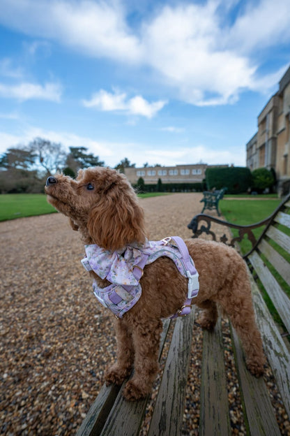 Vintage Violets Wild Edition Harness