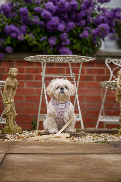 Vintage Violets Wild Edition Harness