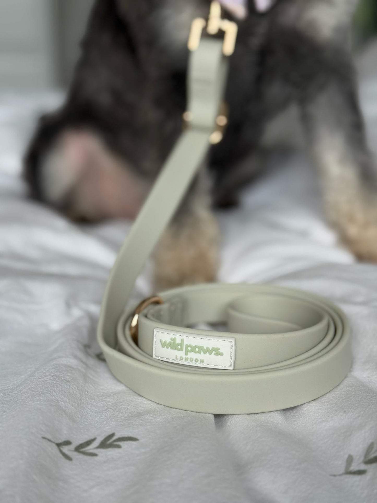 WildWear Waterproof Adjustable Lead - Pistachio Cream