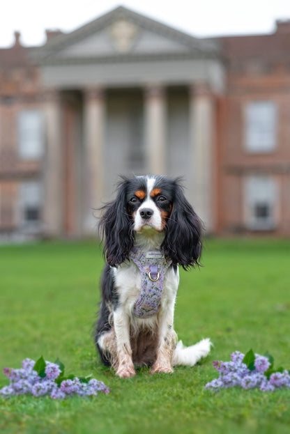 Vintage Violets Wild Edition Harness