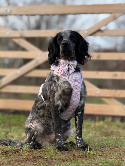 Vintage Violets Adjustable Collar