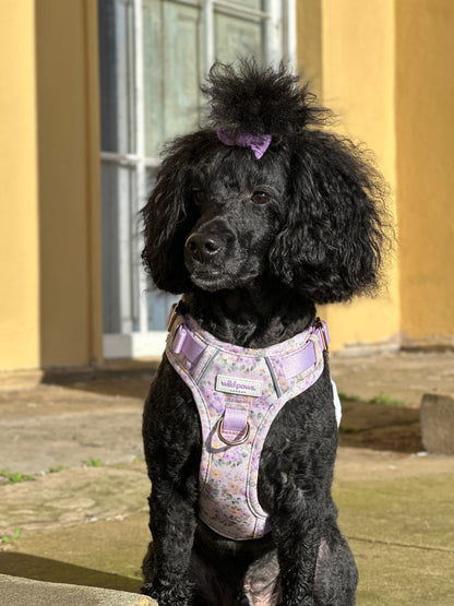 Vintage Violets Wild Edition Harness