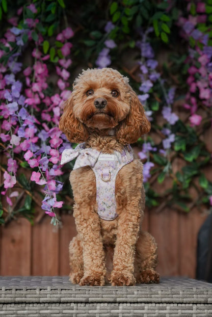 Vintage Violets Wild Edition Harness