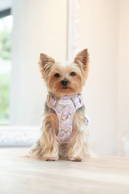 Vintage Violets Wild Edition Harness
