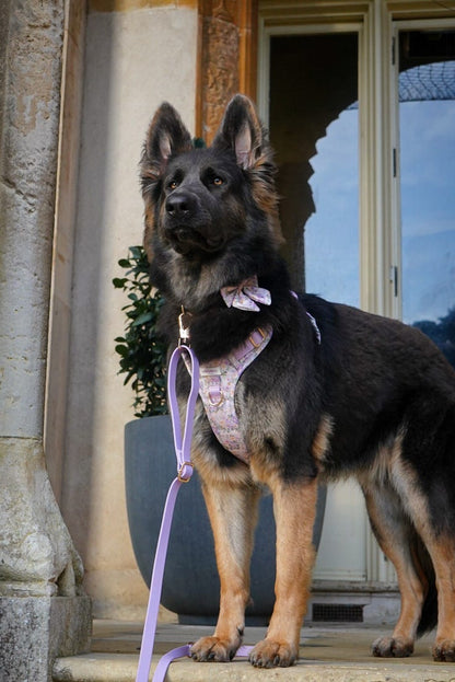 WildWear Waterproof Adjustable Lead - Wild Wisteria