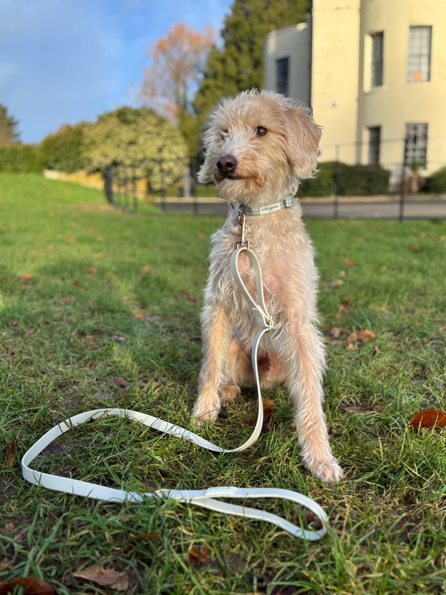 WildWear Waterproof Adjustable Lead - Pistachio Cream