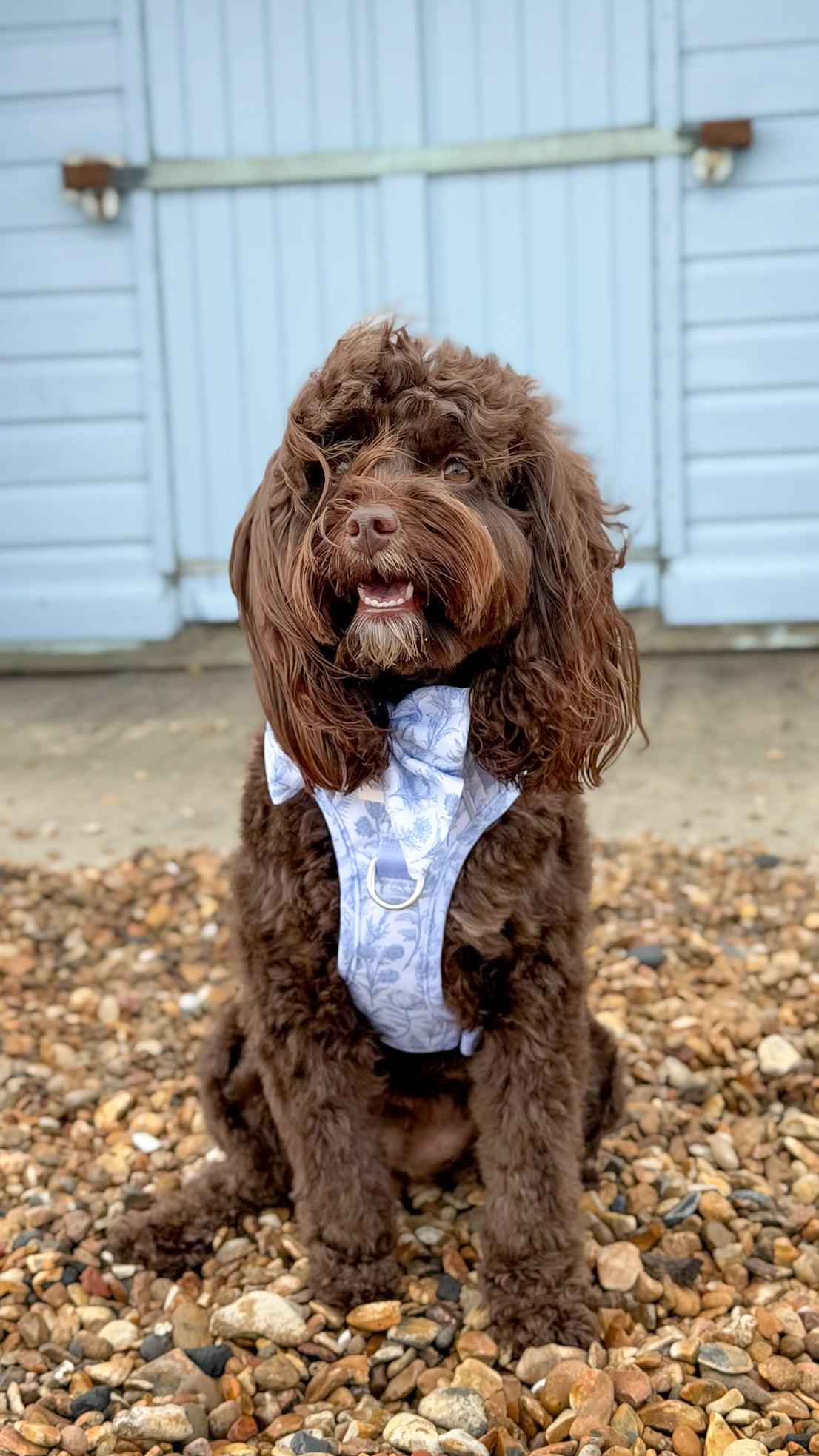 Wildflower Whispers Wild Edition Harness